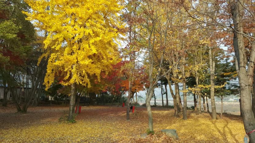 써니밸리오토캠핑장 사진 10