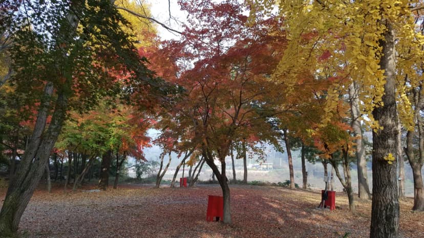 써니밸리오토캠핑장 사진 11