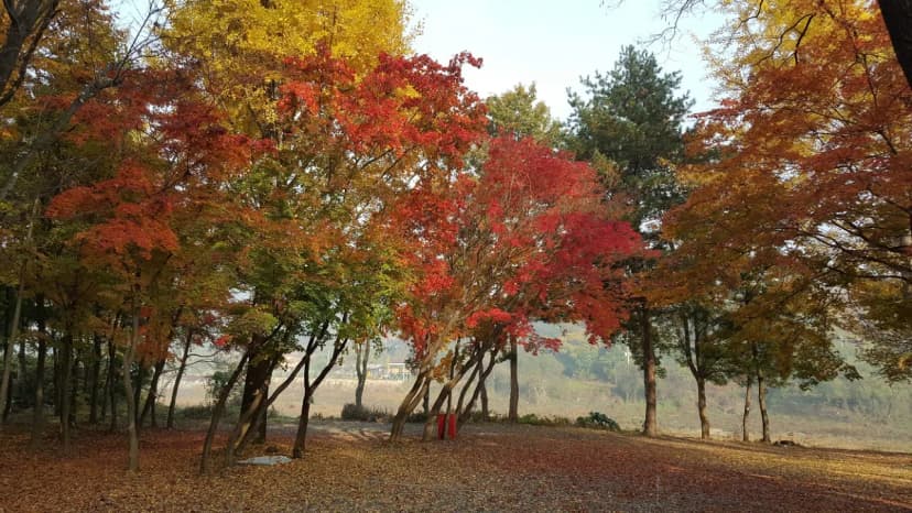 써니밸리오토캠핑장 사진 12