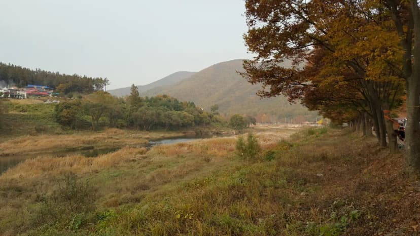 써니밸리오토캠핑장 사진 14