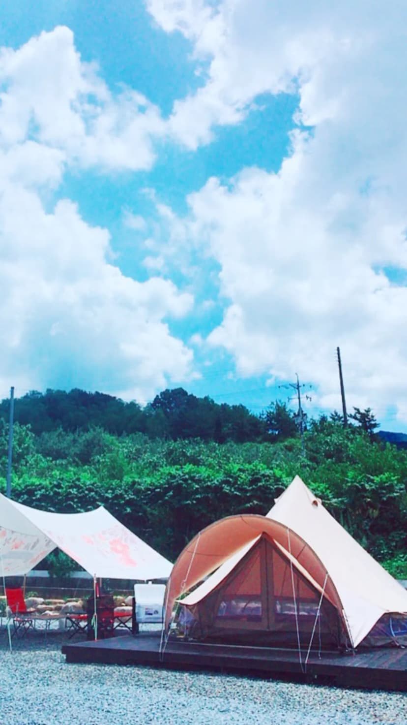 아날로그데이 사진 5