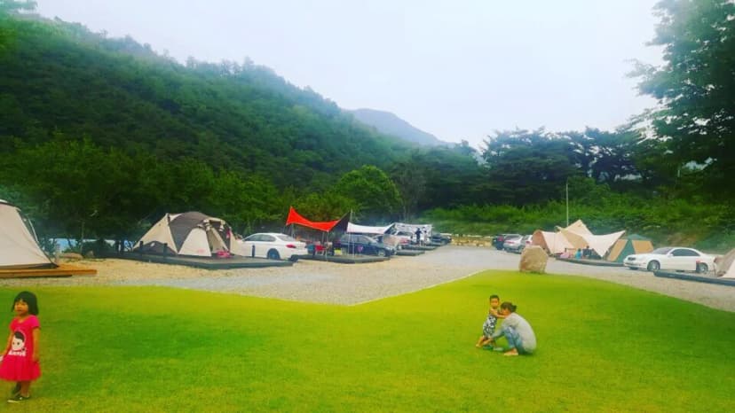 아날로그데이 사진 11
