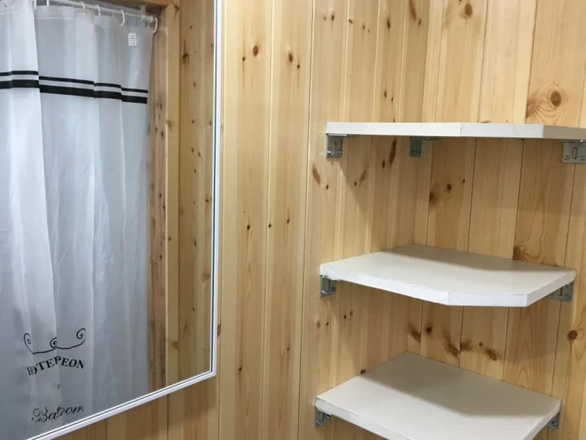 아날로그데이 사진 12