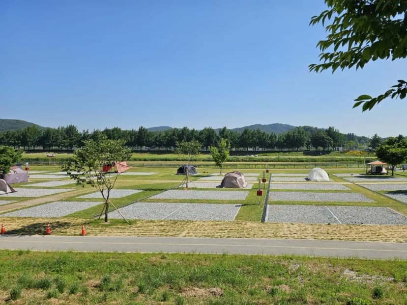 아산곡교천야영장 사진 5