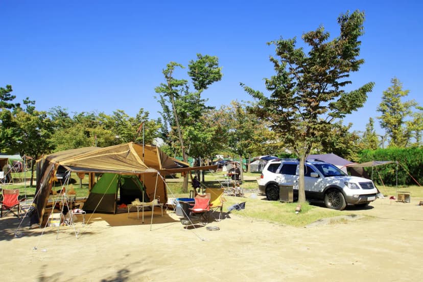 안산화랑오토캠핑장 사진 11