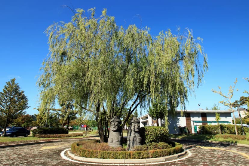 안산화랑오토캠핑장 사진 15