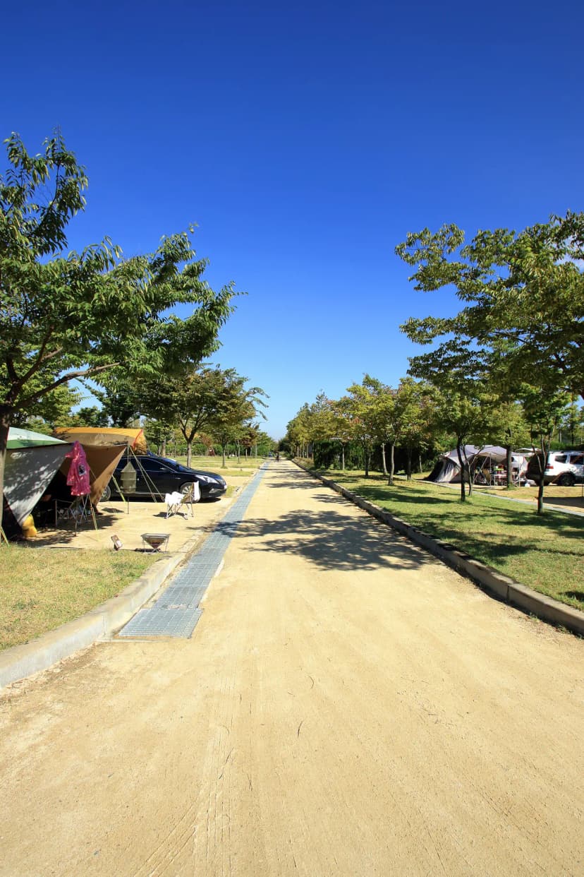 안산화랑오토캠핑장 사진 16