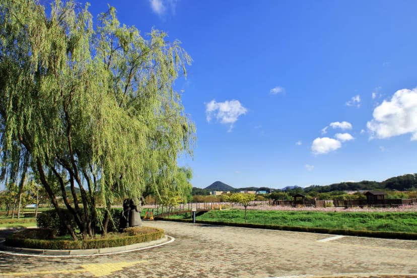 안산화랑오토캠핑장 사진 17