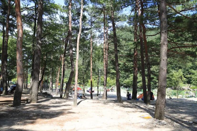 한별마을 야영장 사진 3