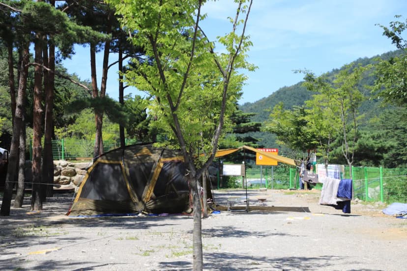 한별마을 야영장 사진 5