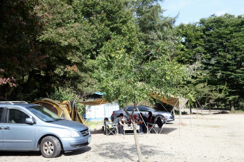 양주산막골캠핑장 사진 13
