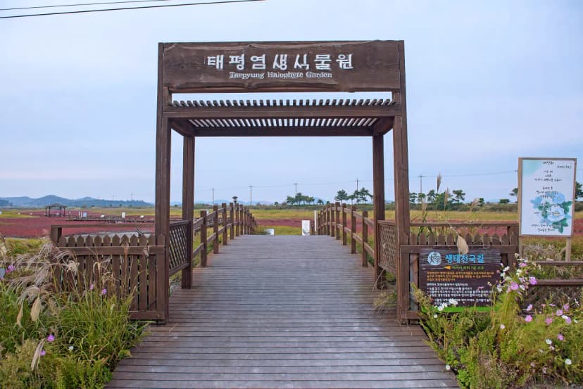천일염힐링캠프 사진 15