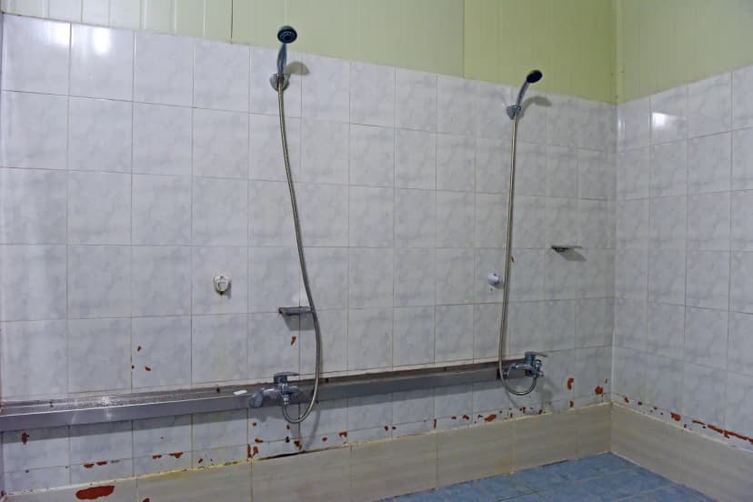 얼음골까투리 펜션&캠핑장 사진 16