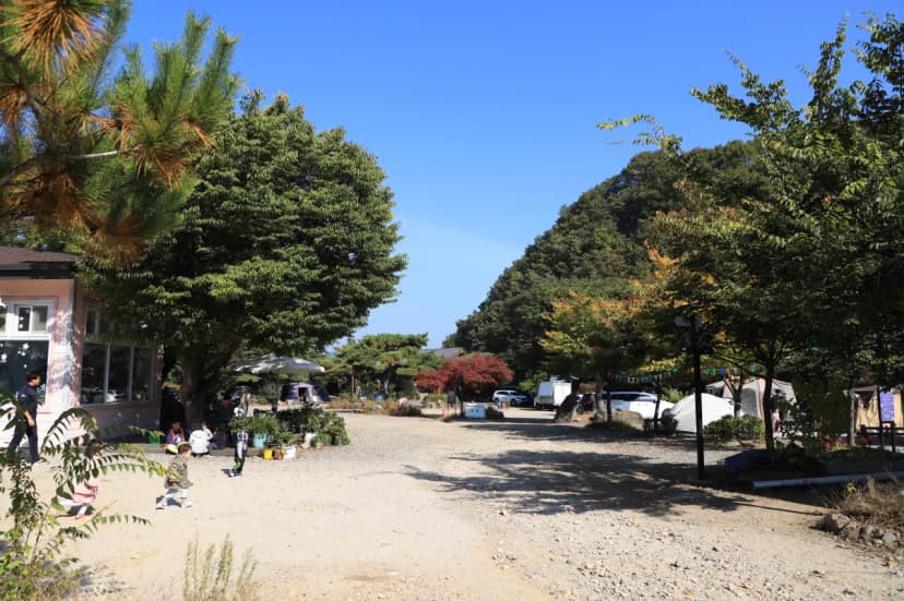 에브라임캠핑장 사진 4
