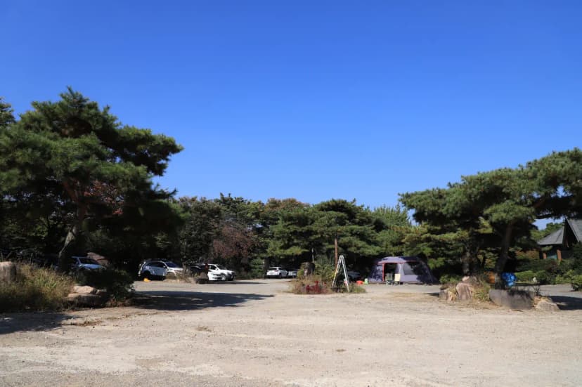 에브라임캠핑장 사진 6