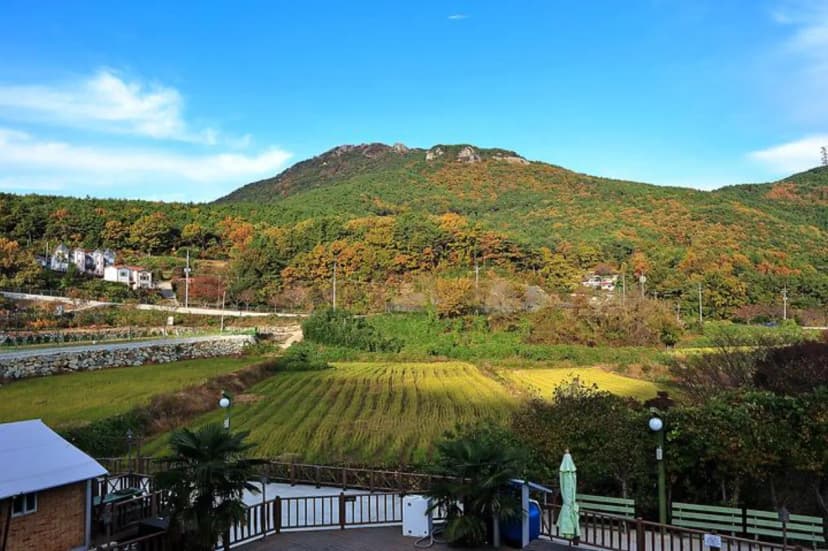 에이원 글램핑장 리조트 사진 2