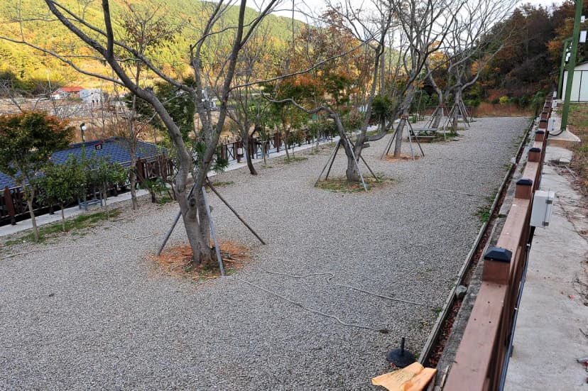 에이원 글램핑장 리조트 사진 18