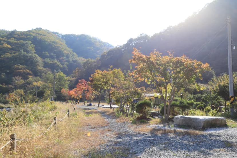 여울애꽃물들인 사진 6
