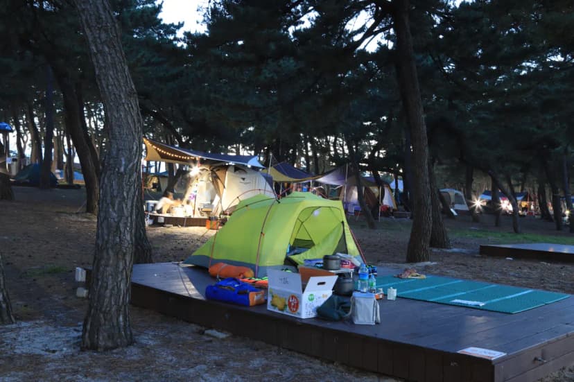 연곡해변 솔향기캠핑장 사진 19