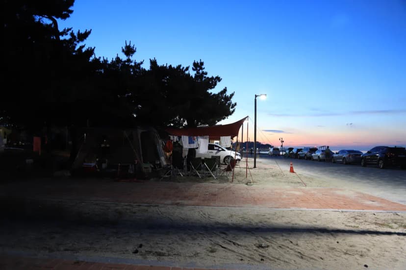 연곡해변 솔향기캠핑장 사진 21
