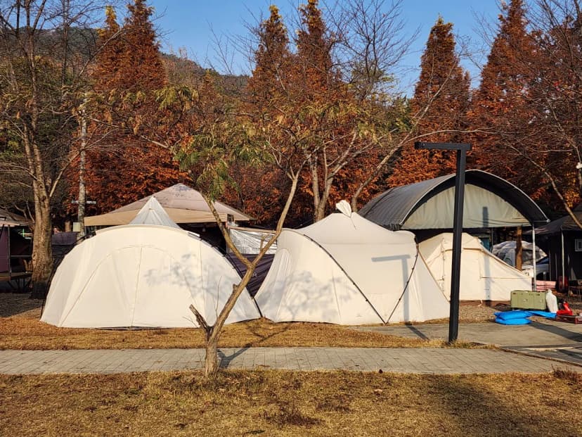 김포캠핑파크 주식회사 사진 8