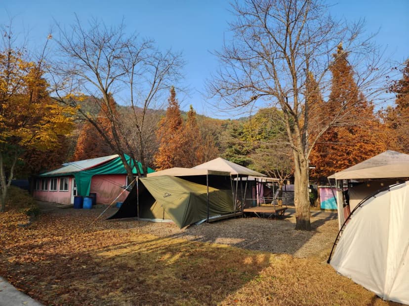 김포캠핑파크 주식회사 사진 9