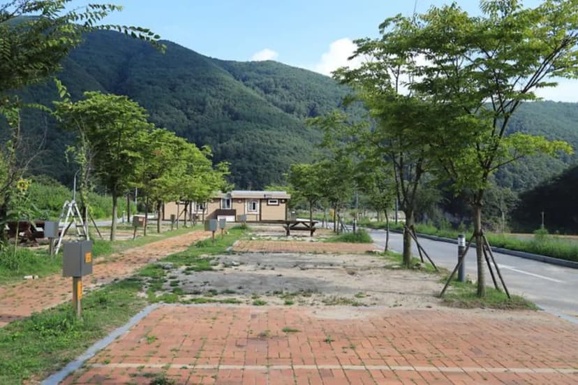 영월 동강오토캠핑장 사진 3