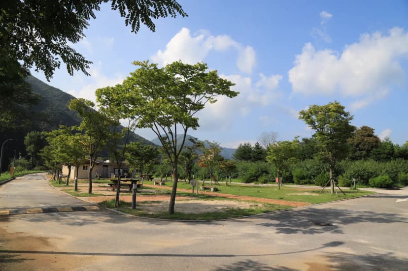 영월 동강오토캠핑장 사진 5