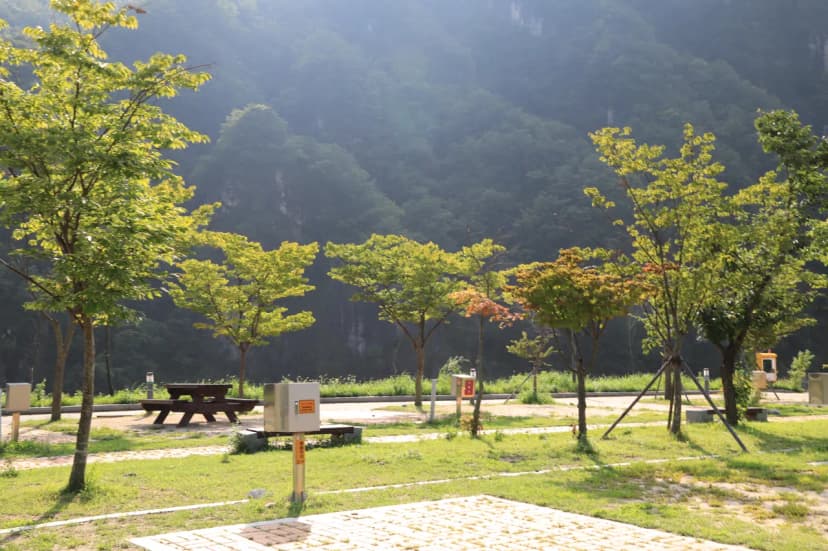 영월 동강오토캠핑장 사진 6