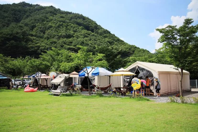 영월 스타 글램핑 사진 3