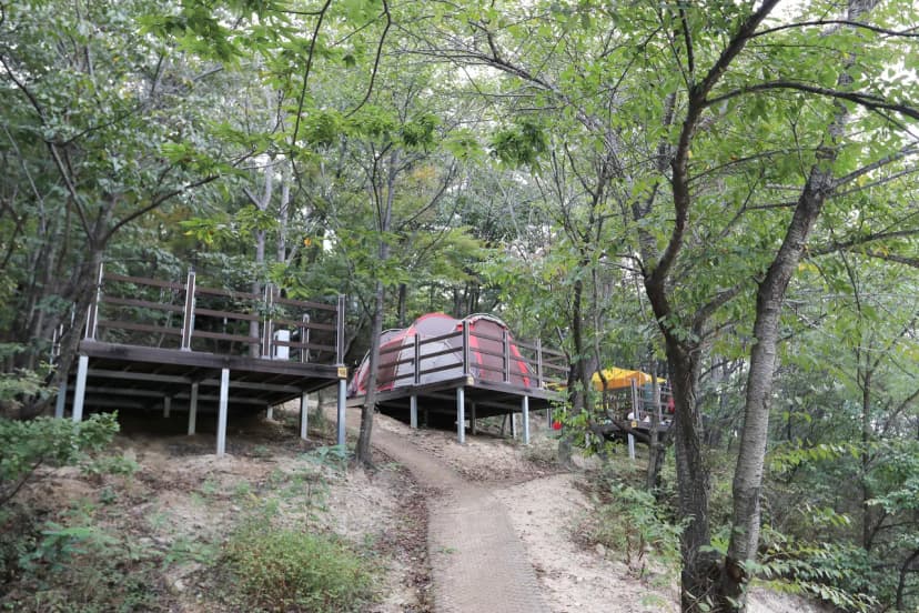 영인산자연휴양림 숲속야영장 사진 3