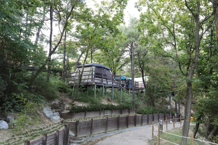 영인산자연휴양림 숲속야영장 사진 5