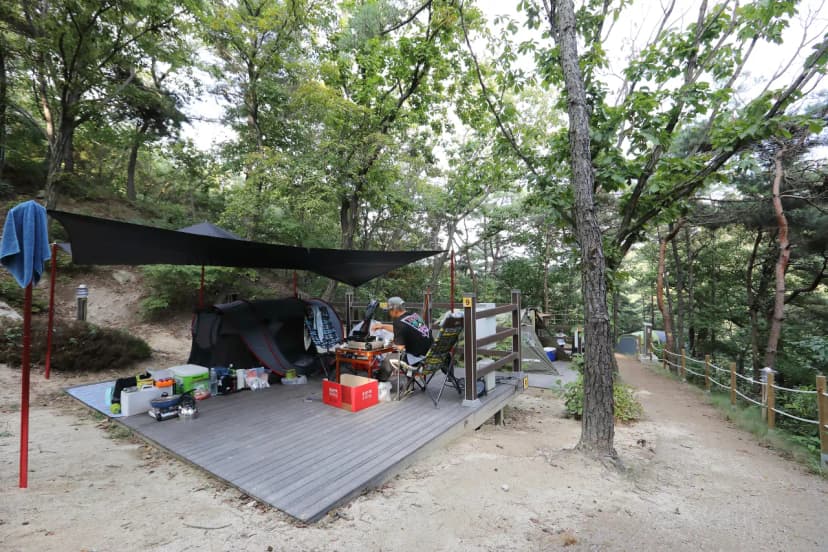 영인산자연휴양림 숲속야영장 사진 12