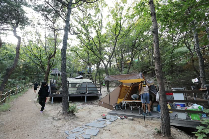 영인산자연휴양림 숲속야영장 사진 13