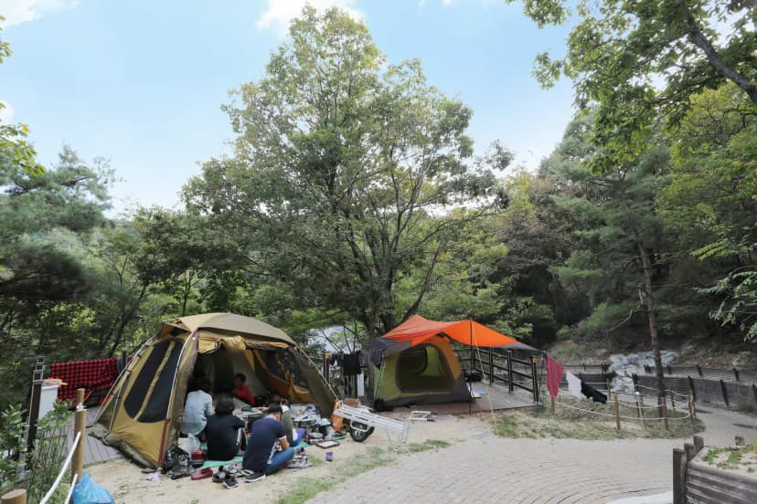 영인산자연휴양림 숲속야영장 사진 14