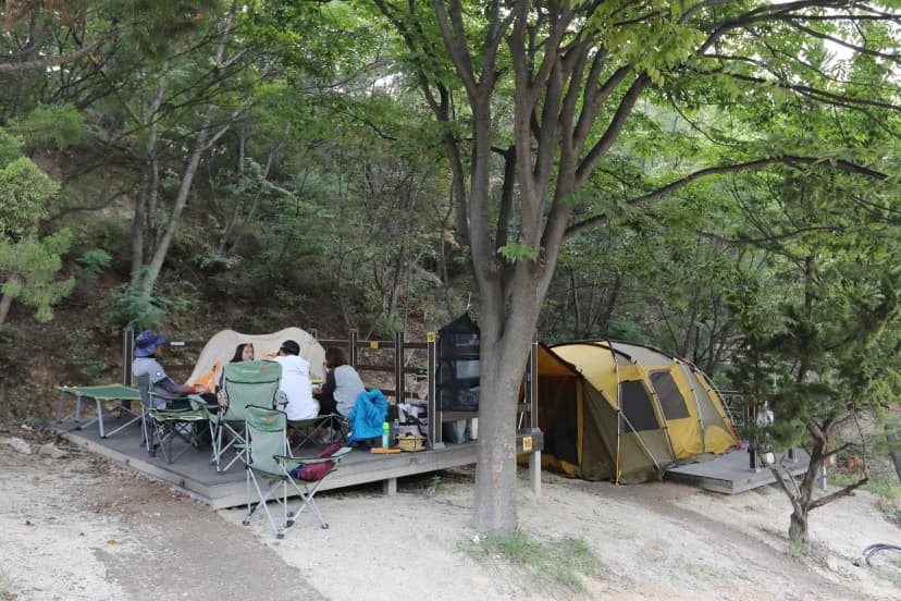 영인산자연휴양림 숲속야영장 사진 15