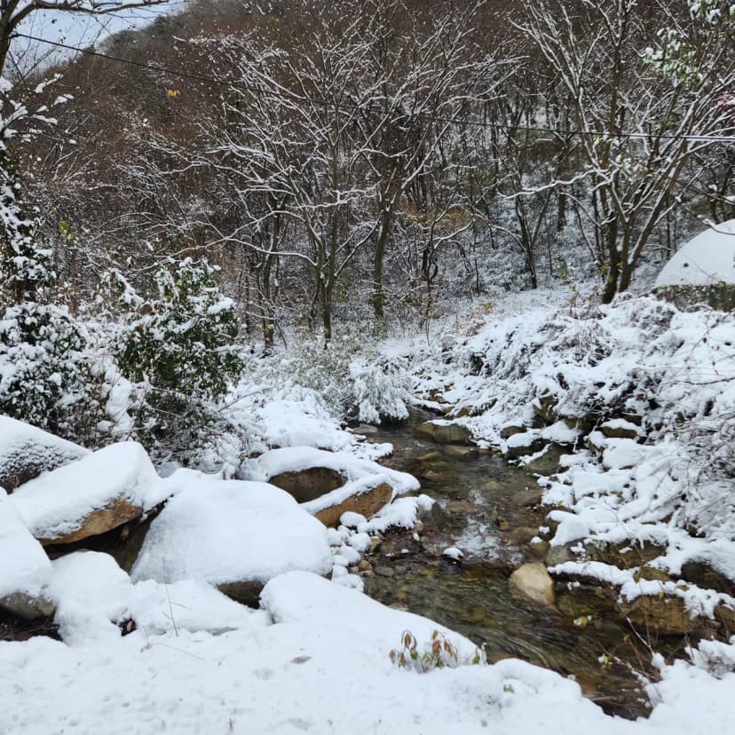 예원캠핑장 사진 5