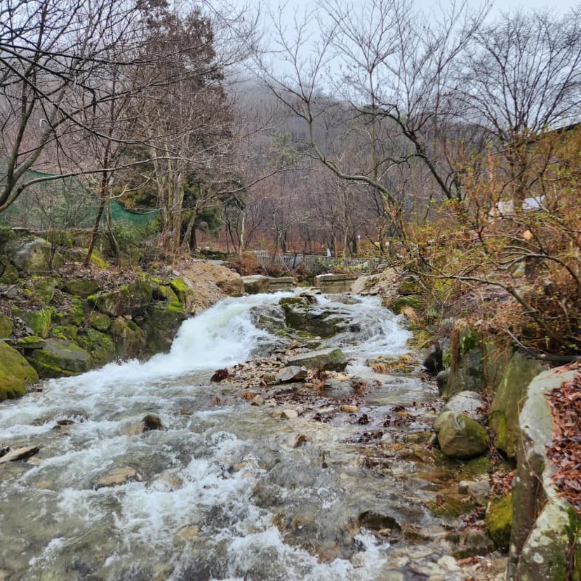 예원캠핑장 사진 6