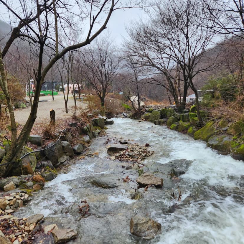 예원캠핑장 사진 8