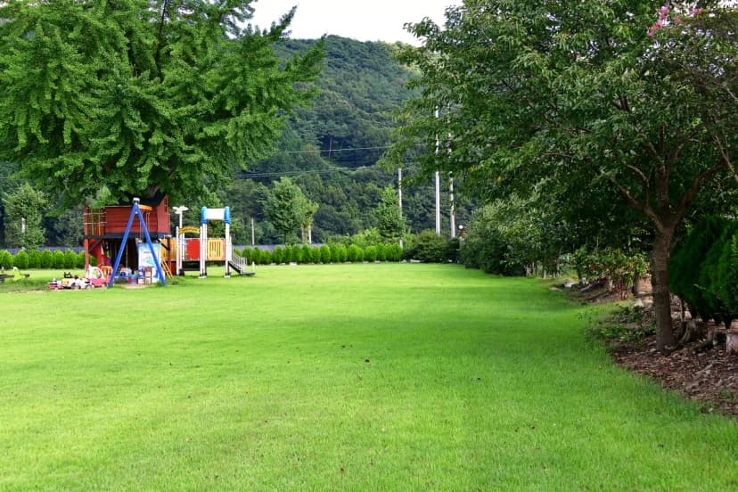 옛서당캠핑농원 사진 15