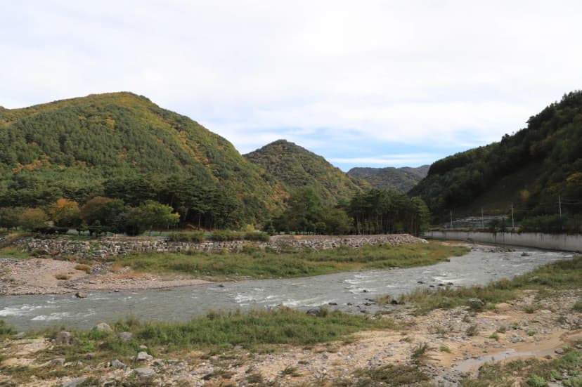 진부(오대산)관광농원 사진 3