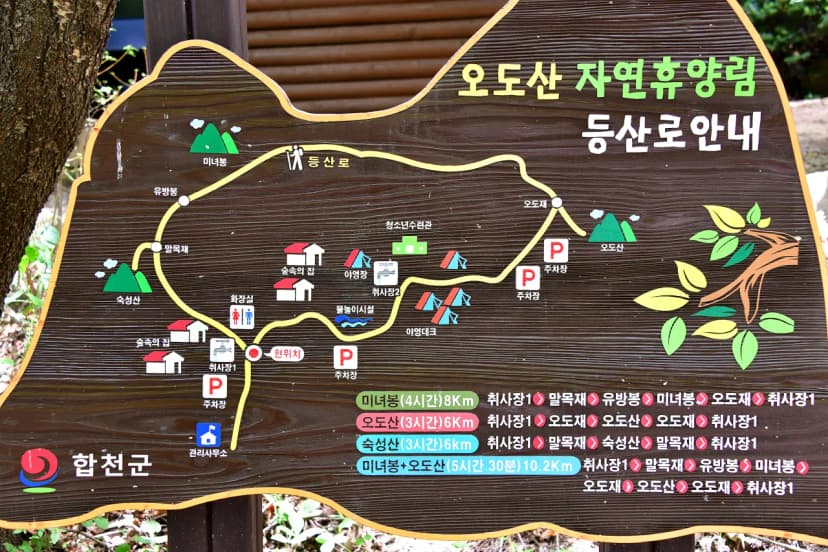오도산 자연휴양림 사진 10