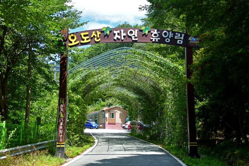 오도산 자연휴양림 사진 11