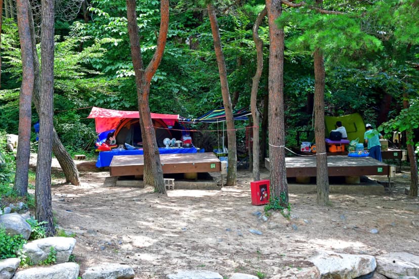 오도산 자연휴양림 사진 13