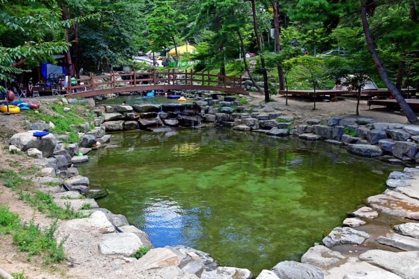 오도산 자연휴양림 사진 20