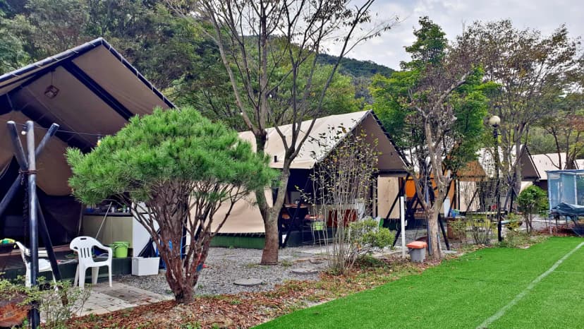 계룡산글램핑 동월숲 사진 9