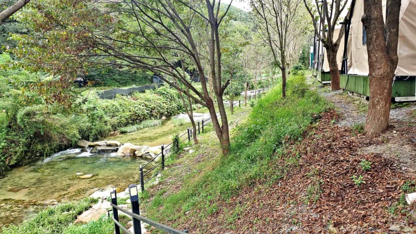 계룡산글램핑 동월숲 사진 20