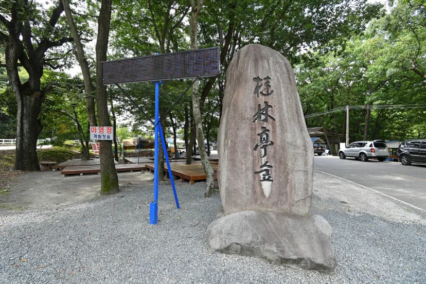 계림정야영장 사진 4