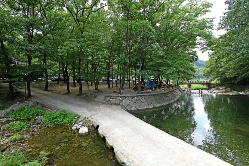 계림정야영장 사진 12