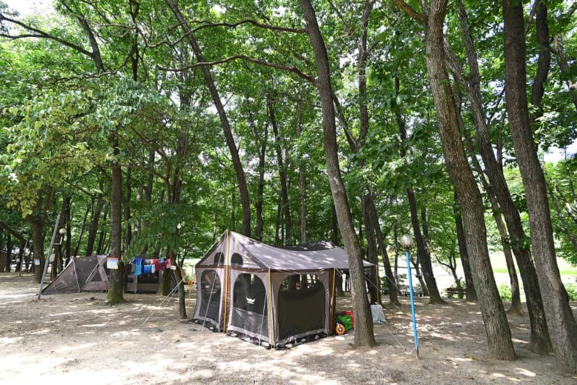 계림정야영장 사진 15